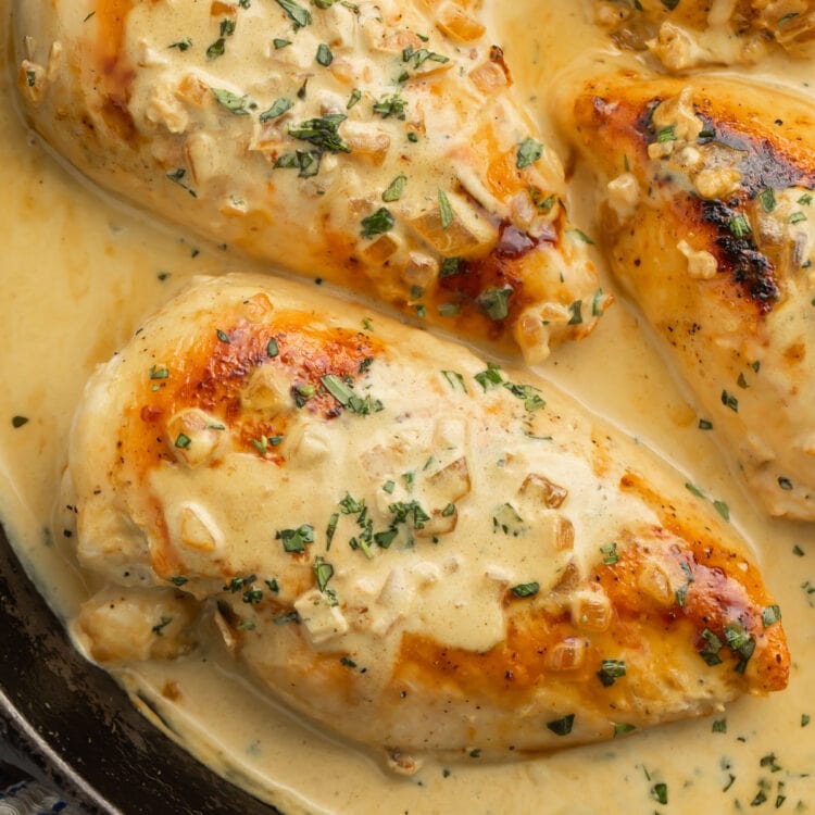 Creamy dijon chicken breasts in a skillet with creamy dijon mustard sauce.