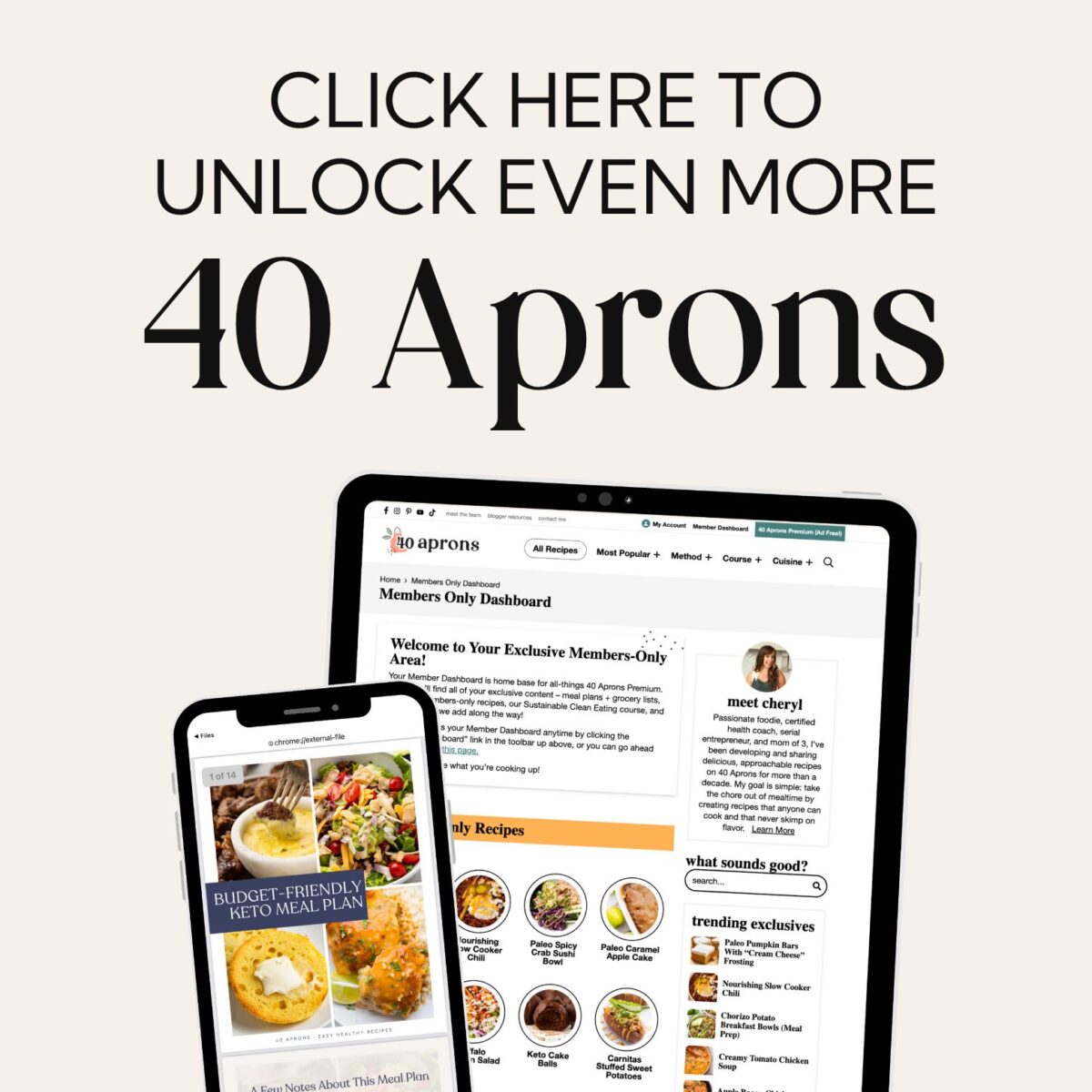 Click here to unlock even more 40 Aprons.