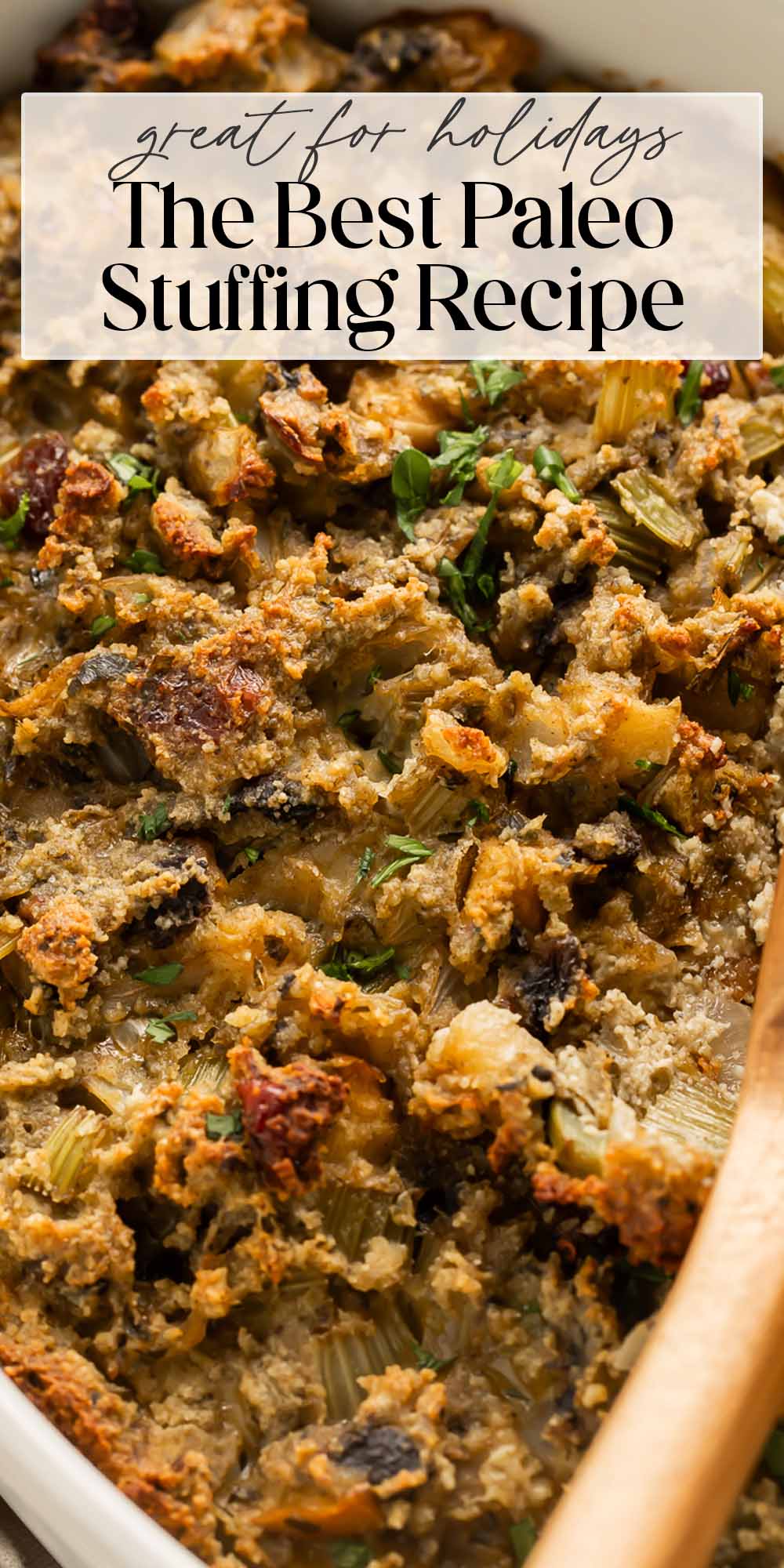 Pin graphic for paleo stuffing.