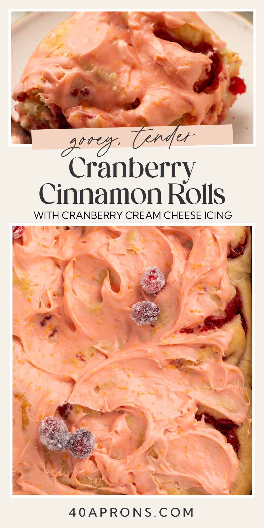 Pin graphic for cranberry cinnamon rolls.