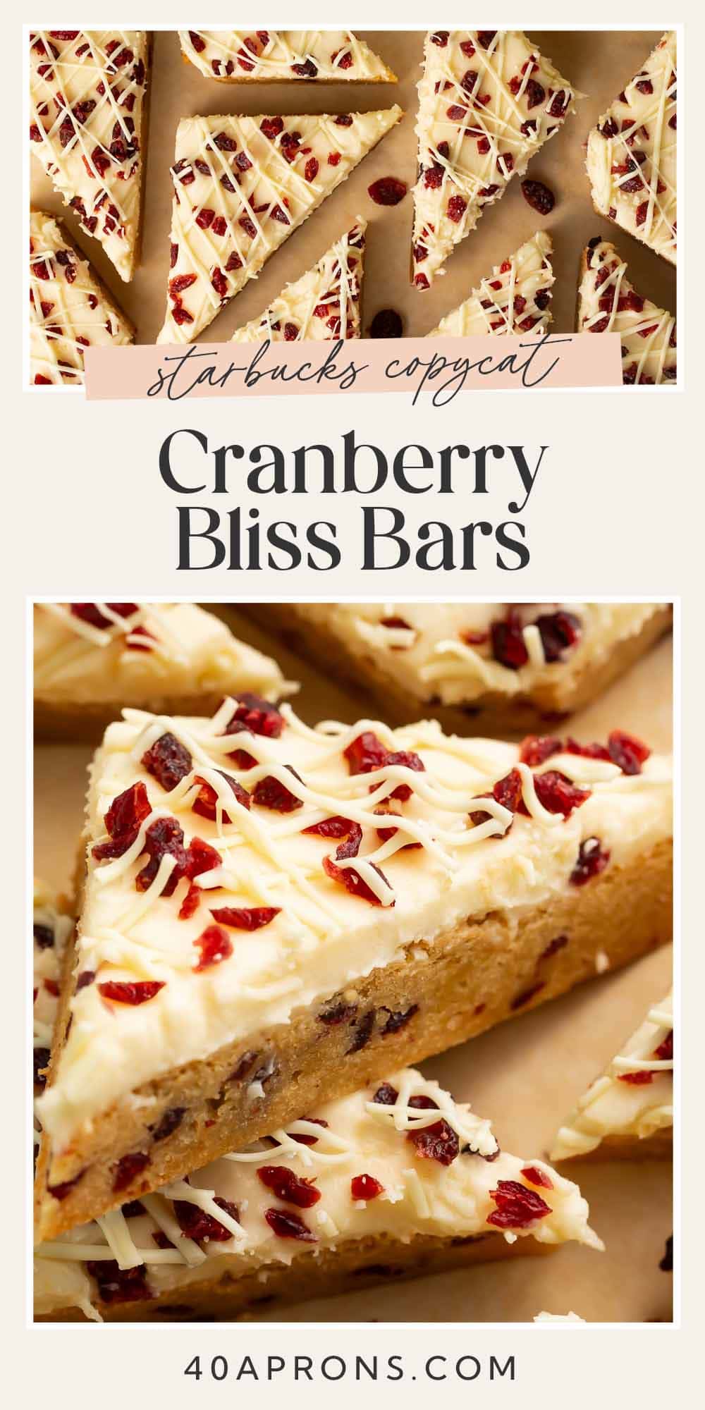 Pin graphic for cranberry bliss bars.