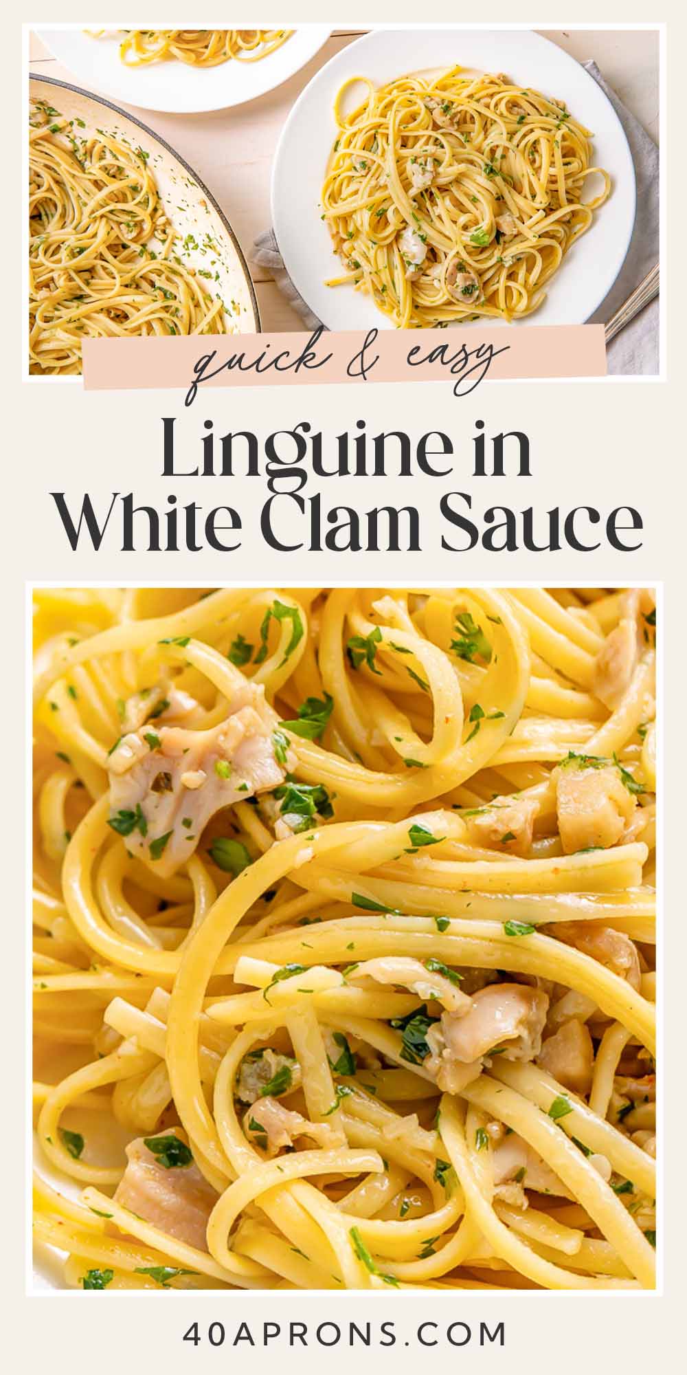 Pin graphic for white clam sauce.