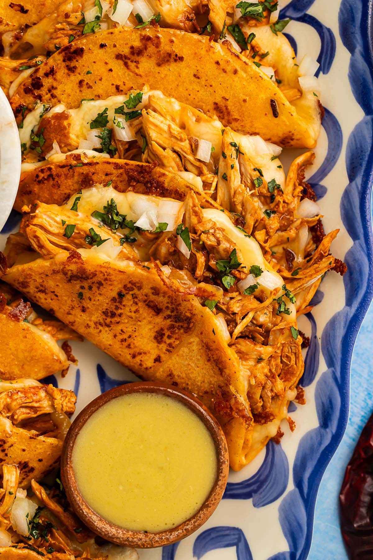 Chicken birria tacos arranged on a blue and white platter.