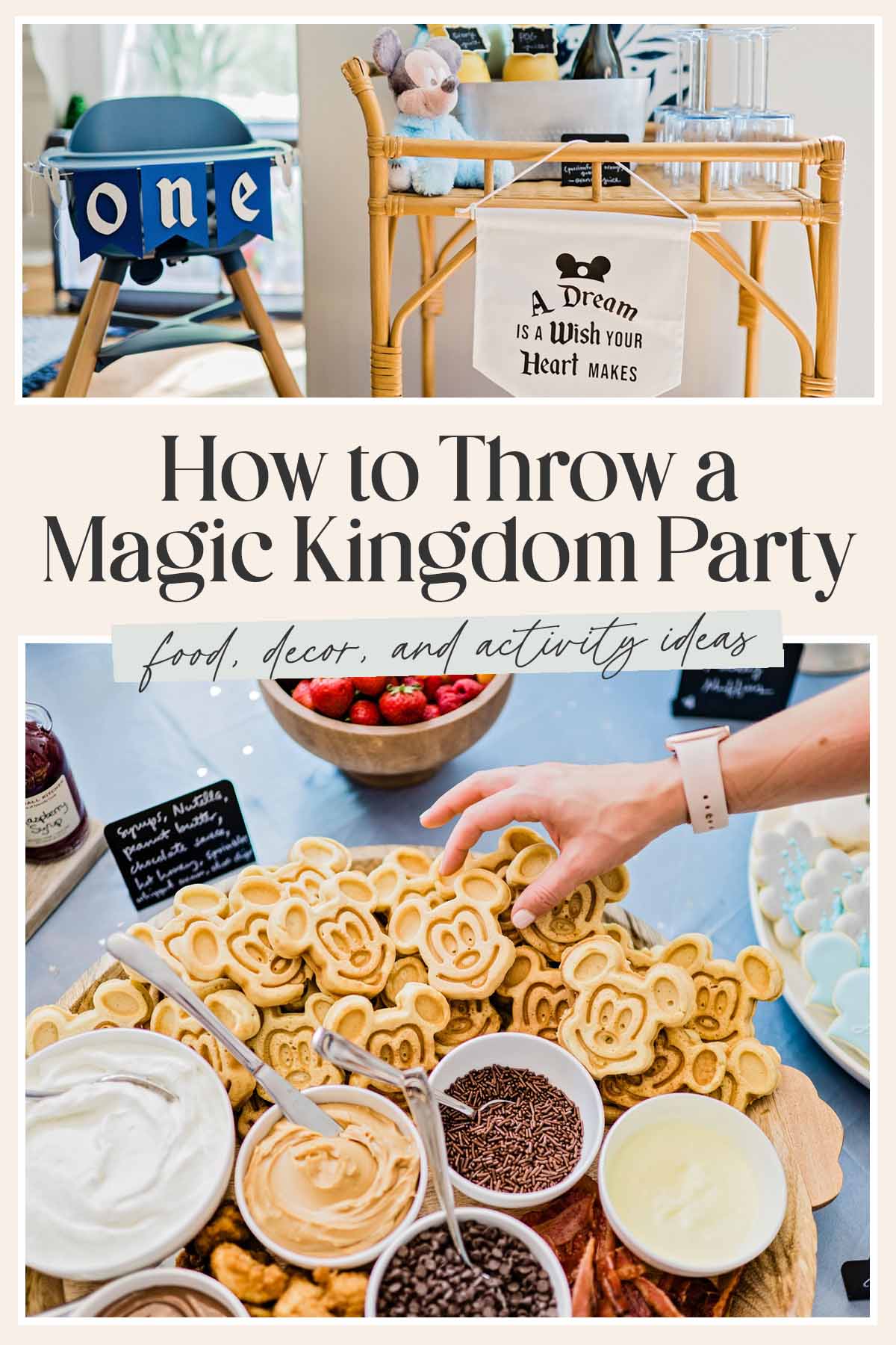 Pin graphic for Magic Kingdom birthday party.