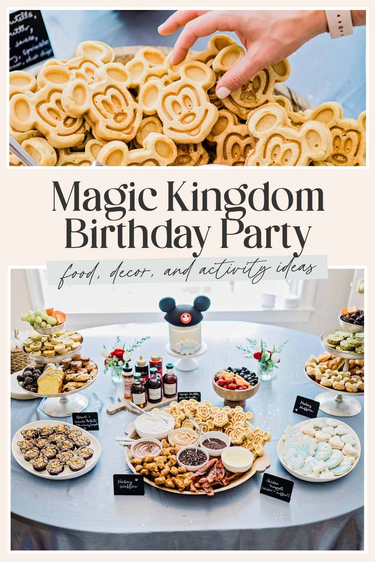 Pin graphic for Magic Kingdom birthday party.