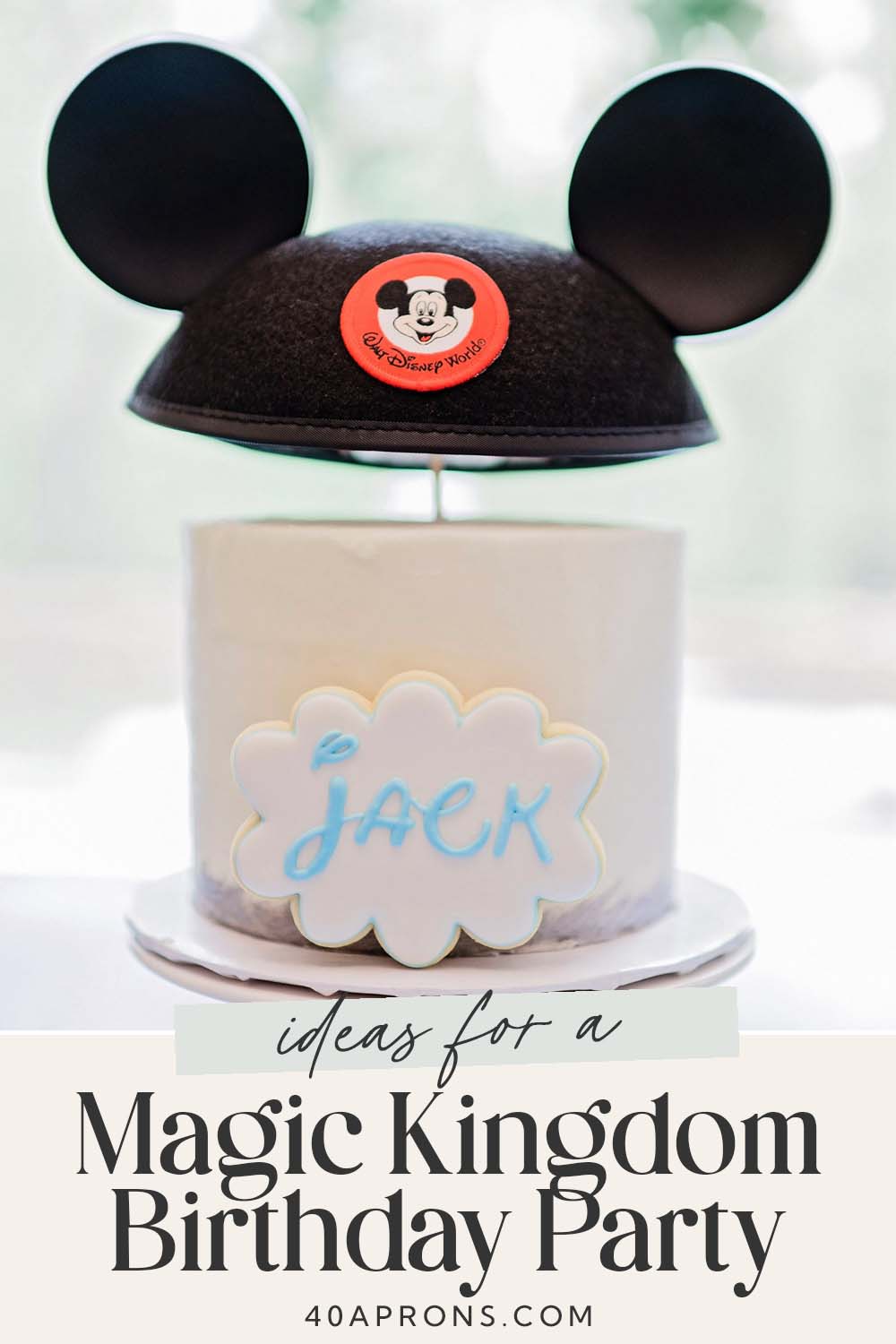 Pin graphic for Magic Kingdom birthday party.