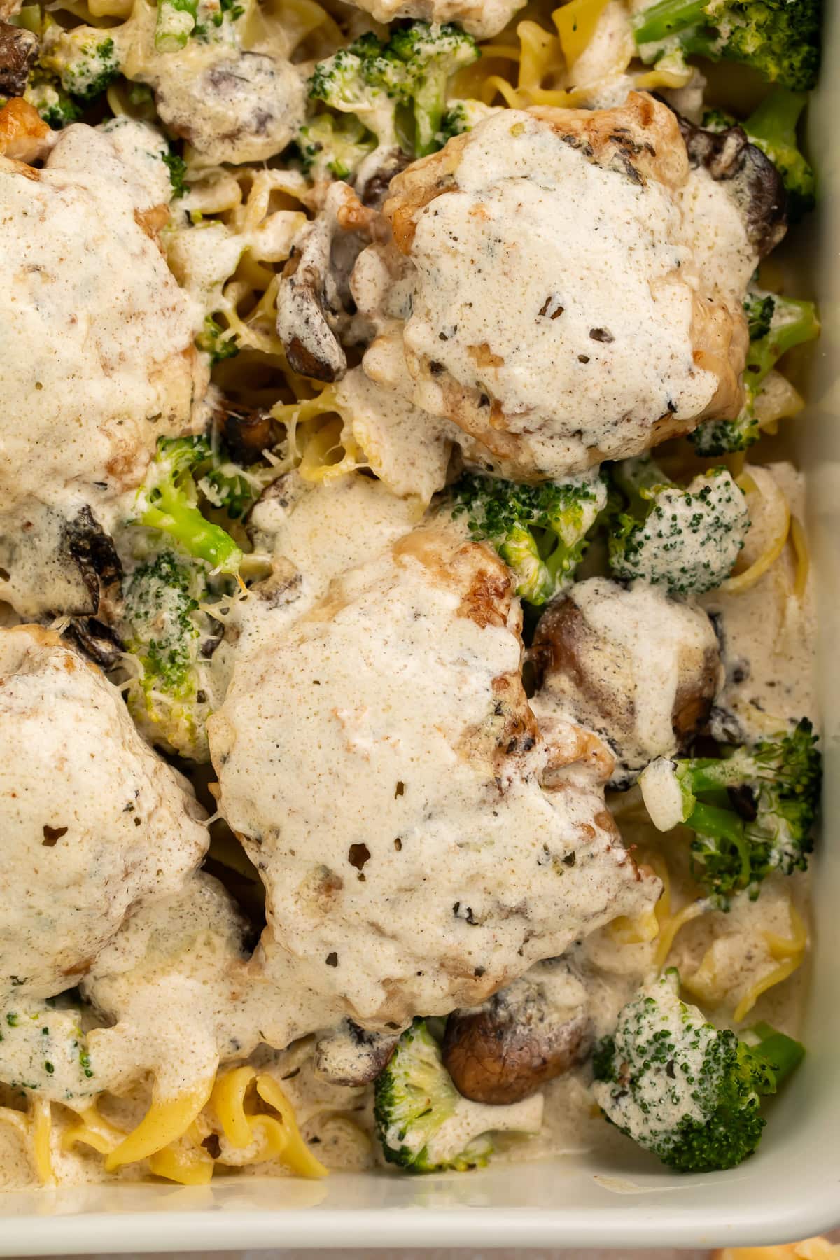 Close-up of chicken divan showing tender chicken thigh with mushrooms and creamy sauce