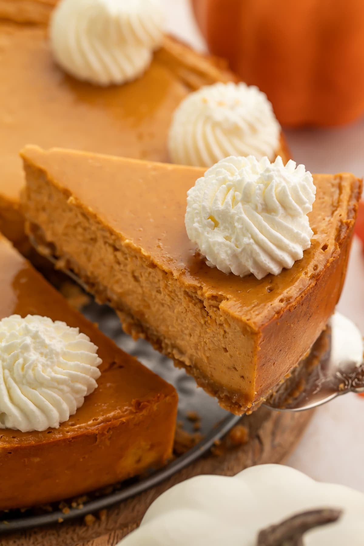 Cottage cheese pumpkin cheesecake slices with whipped cream