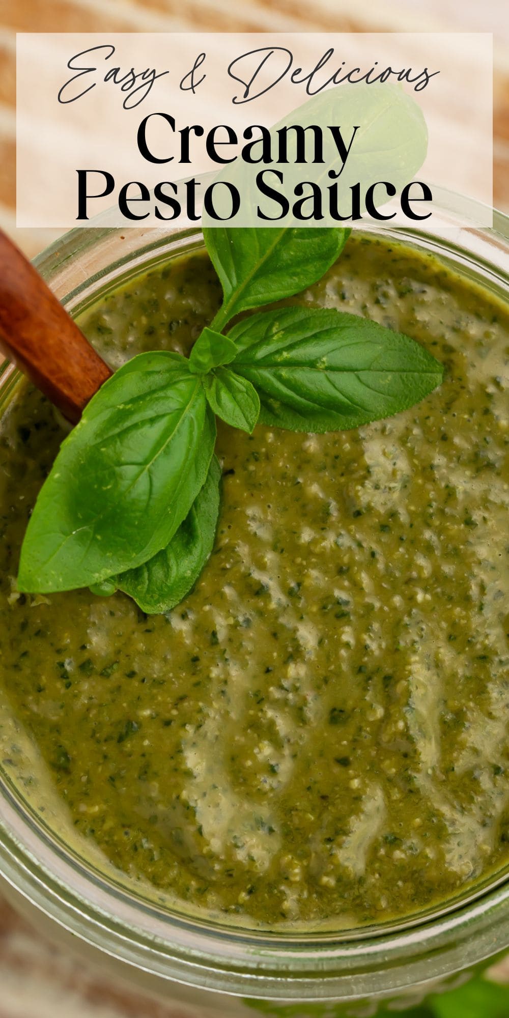 Easy and delicious creamy pesto sauce close-up in mason jar with basil leaves