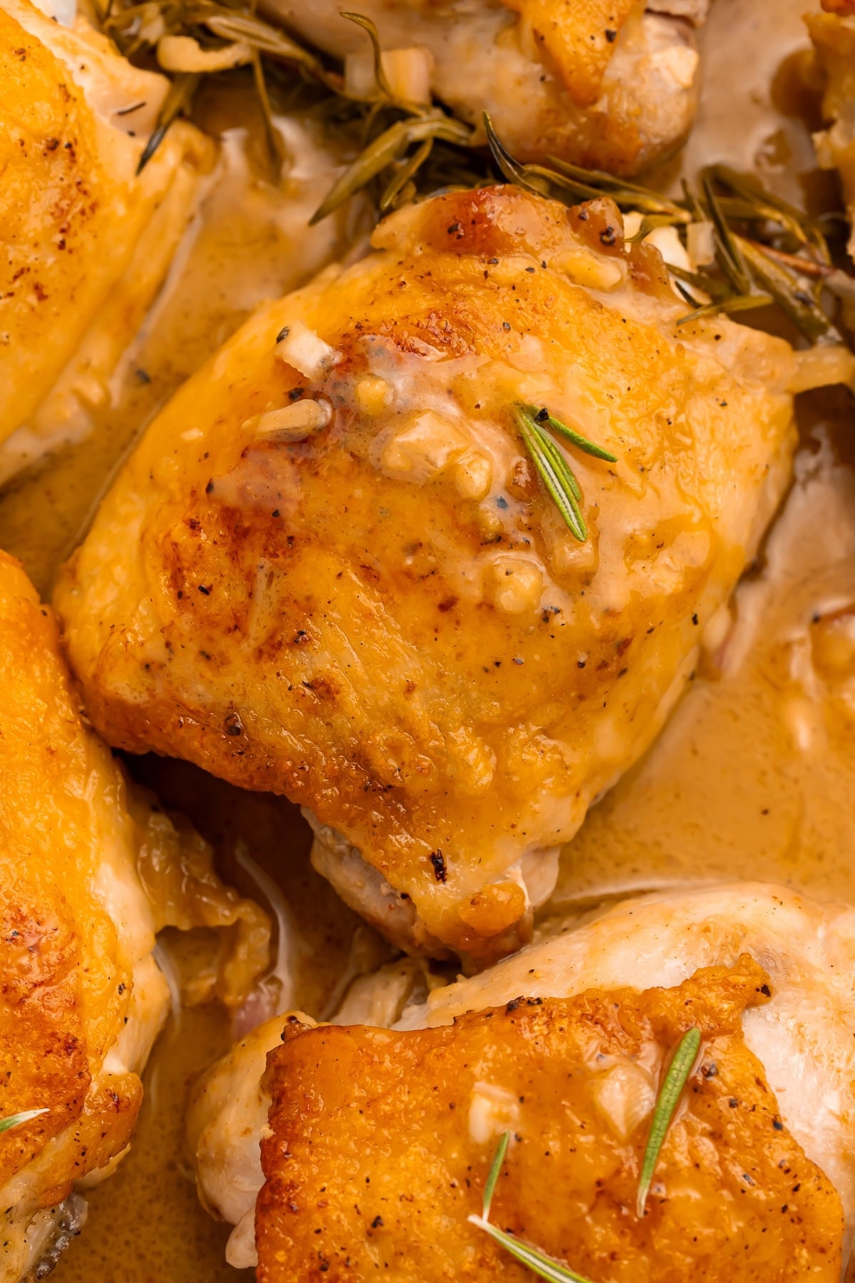 Maple dijon chicken thighs with golden crispy skin and fresh rosemary in bubbling sauce