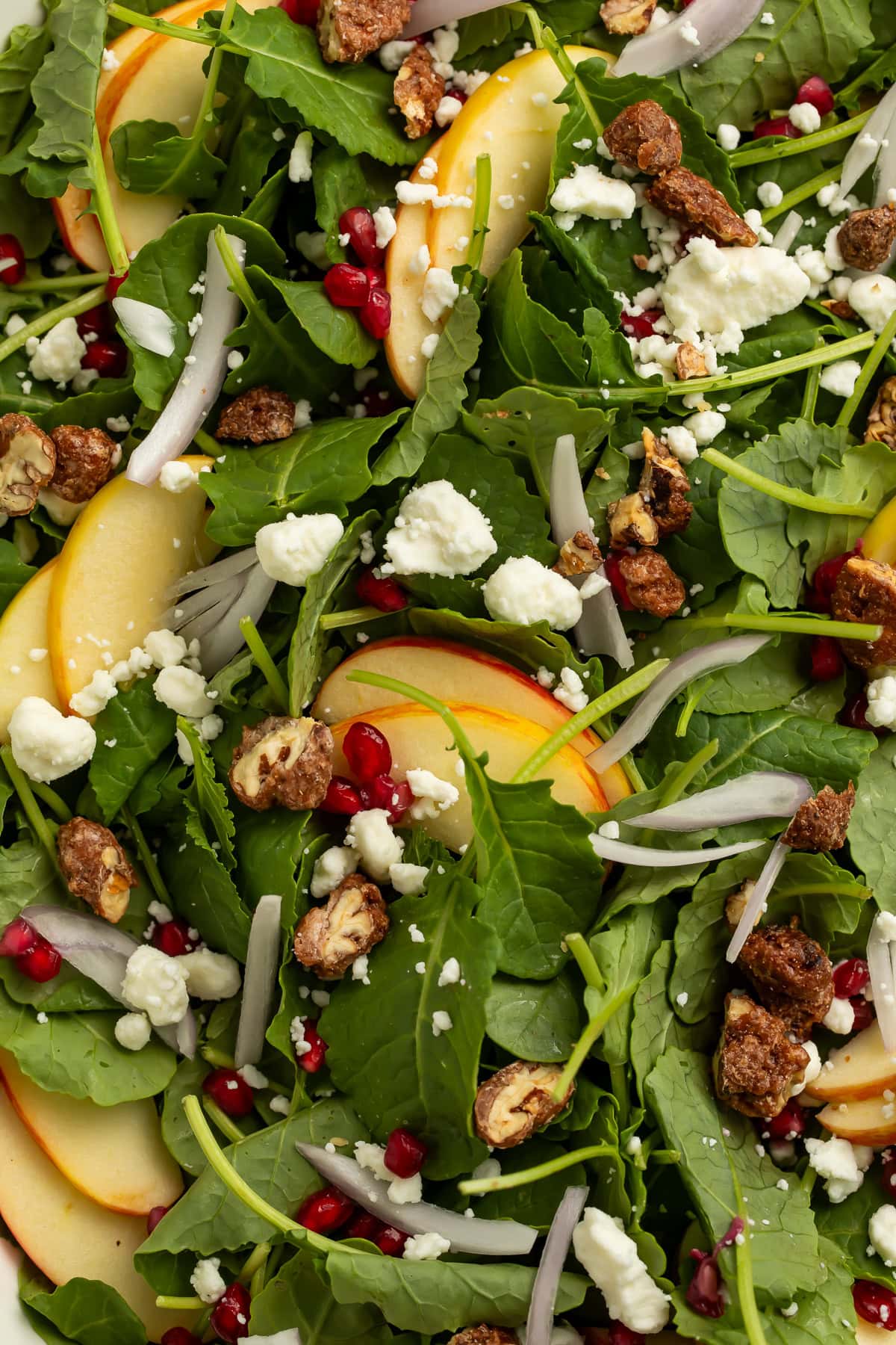 Detail shot of Christmas salad showing apple slices, arugula leaves, pomegranate seeds, goat cheese, and candied pecans.
