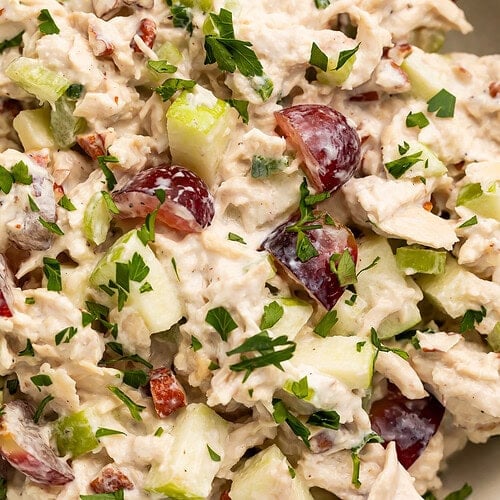 Close up view of high protein chicken salad with grapes, apples, pecans, and fresh parsley in white bowl