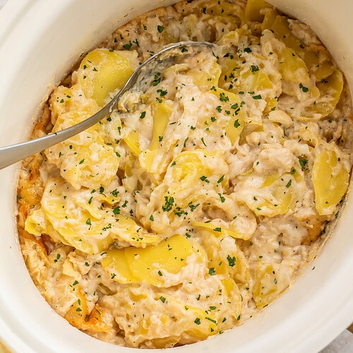 Overhead view of crockpot scalloped potatoes in a white slow cooker insert with a serving spoon