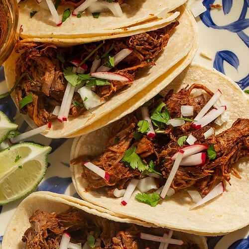 Close up of beef barbacoa tacos topped with cilantro and chopped radish.