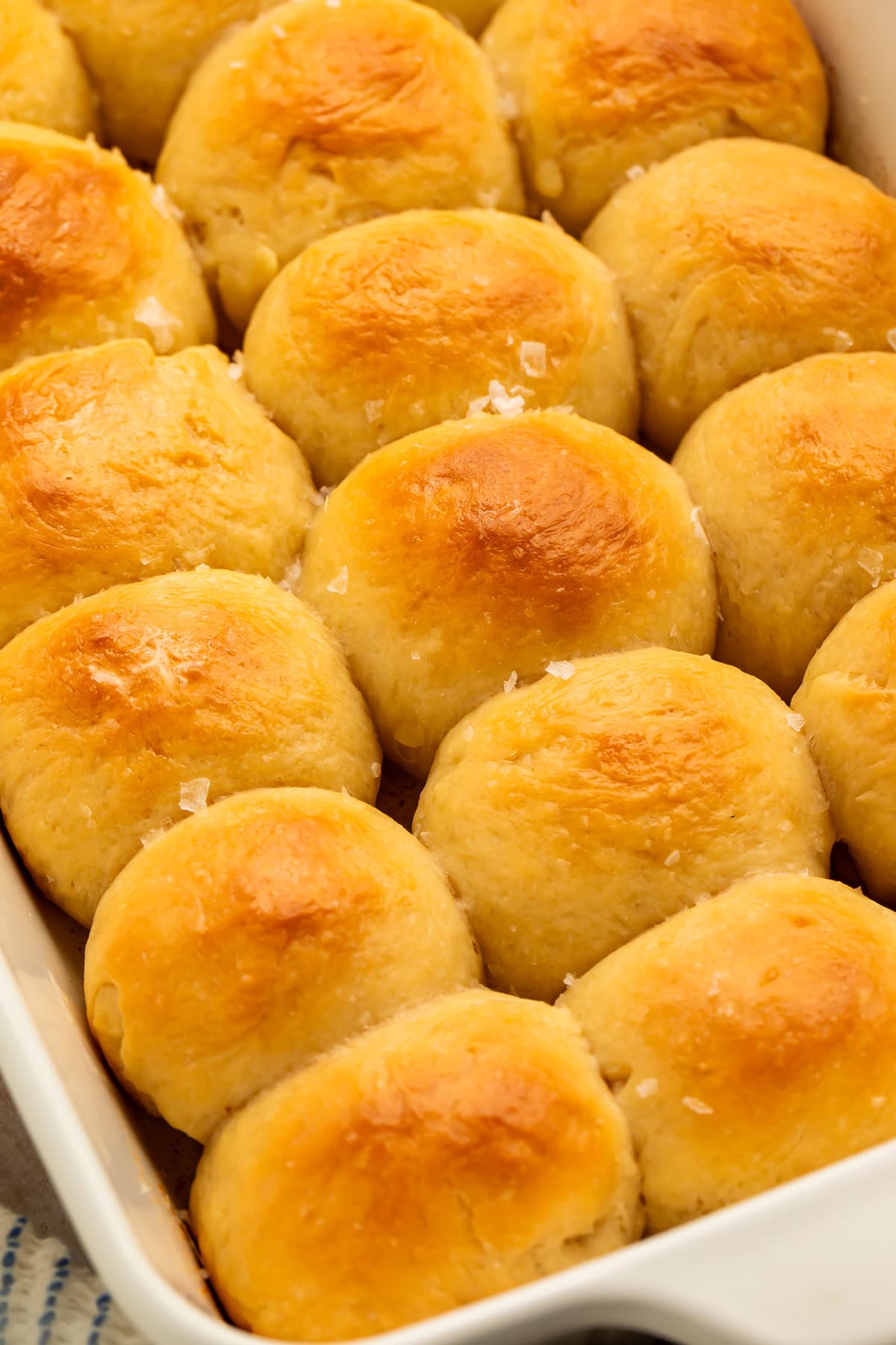 White baking dish of baked parker house rolls.