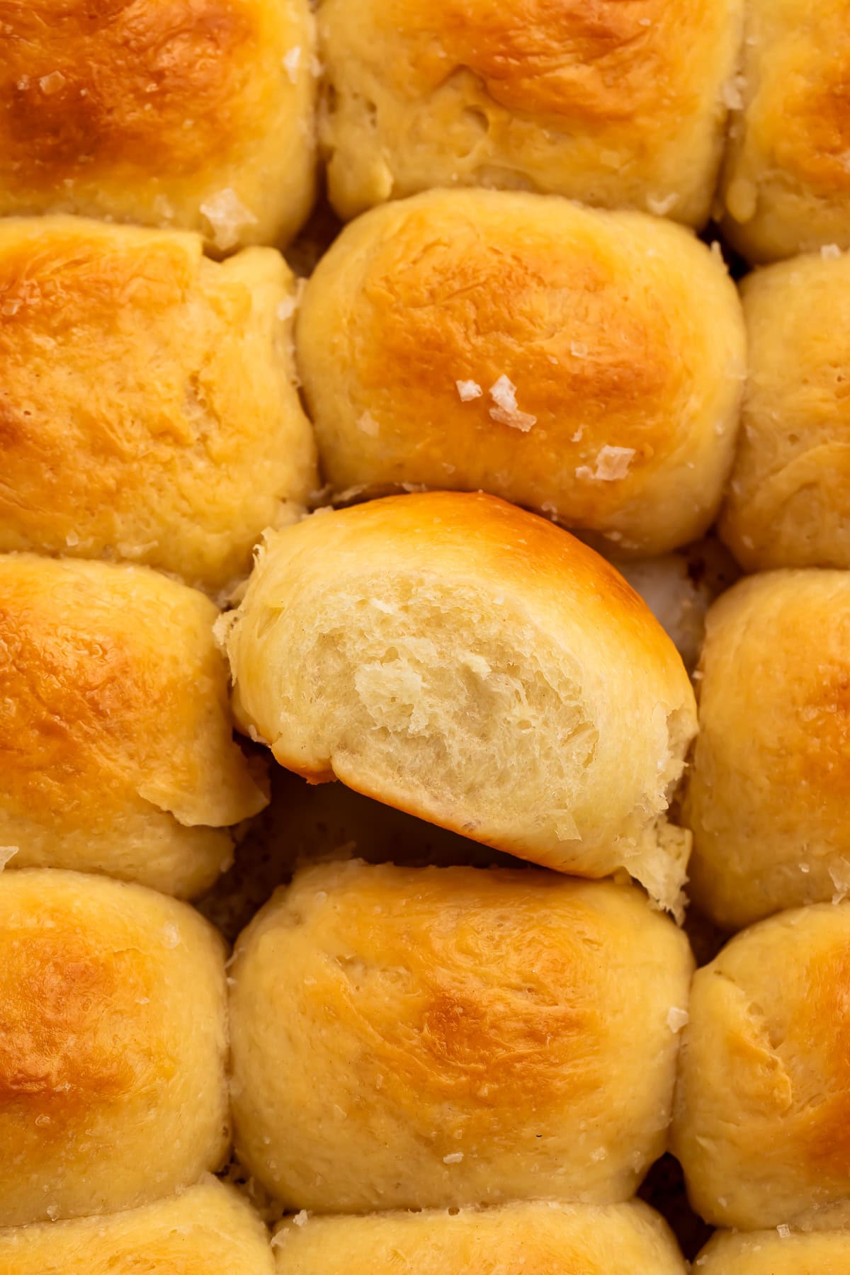 Close up of a dish of parker house rolls. One is sitting on the side to show the fluffy join.