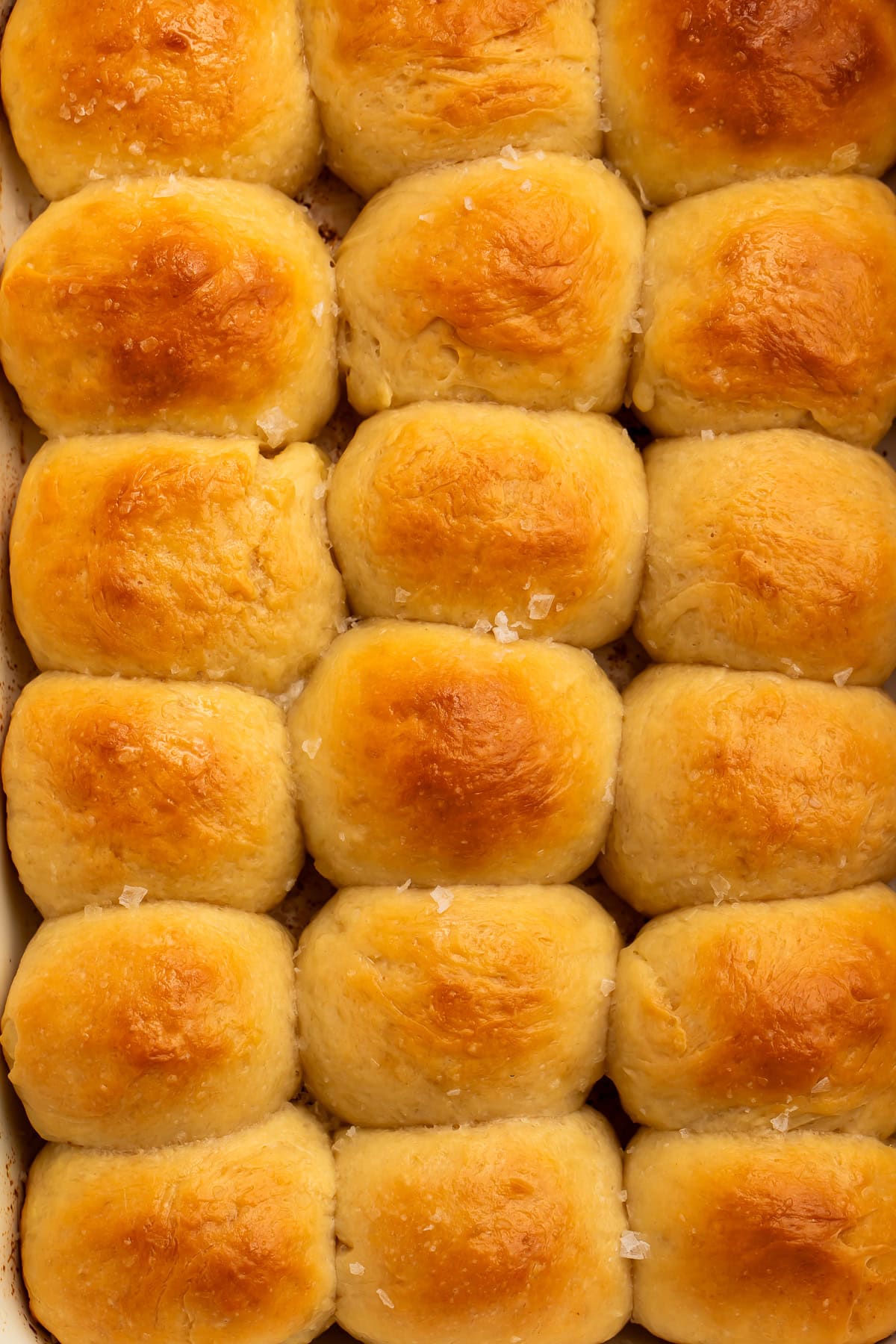 Close up of baked parker house rolls scattered with sea salt.